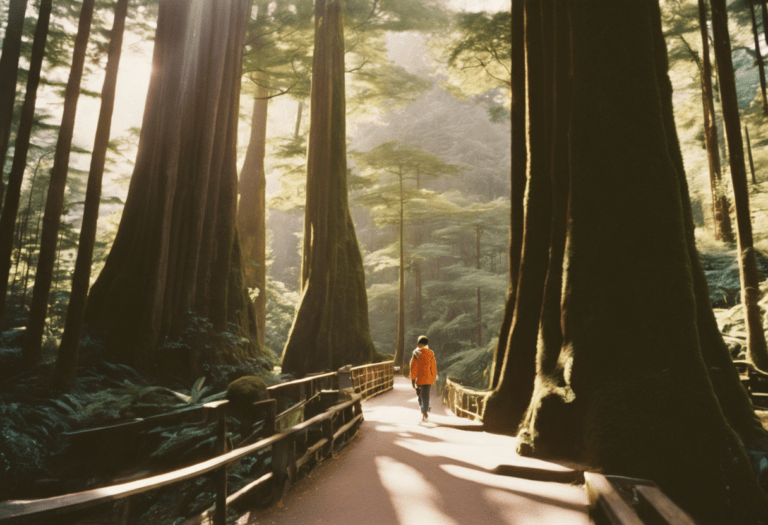 5 Activités de Plein Air à Alishan pour Vivre une Expérience Inoubliable